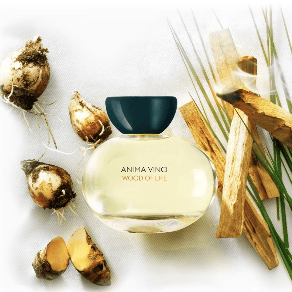 Anima Vinci Wood of Life Eau de Parfum by PERFUMARIE