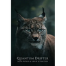 QUANTUM DRIFTER Faith, Physics & Law of Attraction