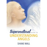 The Supernatural Guide to Understanding Angels