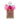 Viva La Juicy Rose Eau De Parfum