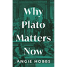 Why Plato Matters Now