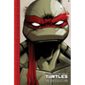 Teenage Mutant Ninja Turtles: The IDW Collection Volume 1