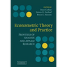 Econometric Theory and Practice
