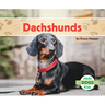 Dachshunds