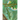 There's a Gator Under the Banana Tree