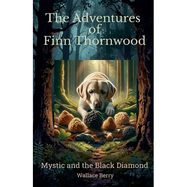 Mystic and the Black Diamond