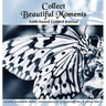 Collect Beautiful Moments: Faith-Based Guided Journal