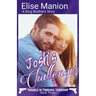 Josh's Challenge: A King Brothers Story