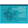 Life on Intertidal Rocks: Identifying Marine Life of the North Atlantic Coast, Including Tidepools and the Intertidal Zones