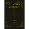 Chasing Shadows: Genesis
