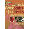 Currants, Gooseberries, and Jostaberries: A Guide for Growers, Marketers, and Researchers in North America