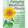 Foraging Medicinal Plants of New England: How to safely identify and prepare over 100 medicinal plants for herbal remedies