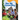 One Big Community: A Wordless Nonfiction Book