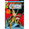 Conan the Barbarian: The Original Comics Omnibus Vol.5