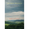 The Iron Triangle: Business, Government, and Colonial Settlers' Dispossession of Indian Timberlands and Timber
