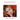 Madonna: An Intimate Biography
