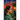 Iris in Bloom (Standard Edition)