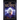 The Wizard