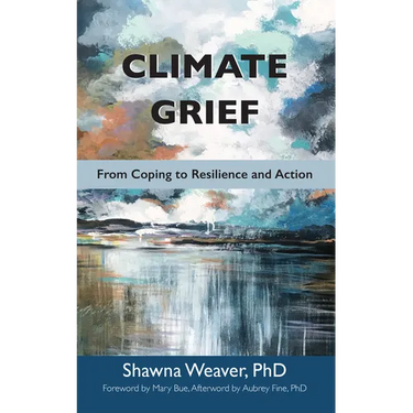 Climate Grief: From Coping to Resilience and Action