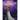 Ms. Witch Chronicles: Night of the Pumpkin Queen