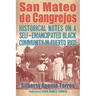 San Mateo de Cangrejos: Historical Notes on a Self-Emancipated Black Community in Puerto Rico
