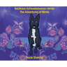 Bebikaan-Ezhiwebiziwinan Nimkii: The Adventures of Nimkii: The Adventures of Nimkii