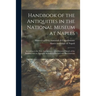Handbook of the Antiquities in the National Museum at Naples: According to the New Arrangement With Historical Sketch of the Building and on Appendix