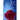 A Rose for Rose