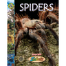 Spiders