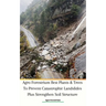 Agro Forestrium Best Plants & Trees To Prevent Catastrophic Landslides Plus Strengthen Soil Structure