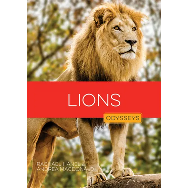 Lions