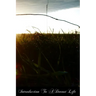 Introduction To A Devout Life
