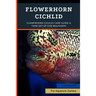 Flowerhorn Cichlid: Flowerhorn Cichlid Care Guide & Tank Set Up For Beginners