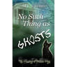 No Such Thing as Ghosts