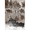 Timeless Stories of El Salvador: Epiphany