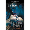 The Vampire Diaries: The Struggle