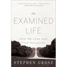The Examined Life: How We Lose and Find Ourselves