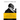 Singing in a Strange Land: C. L. Franklin, the Black Church, and the Transformation of America