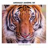 Animals Among Us