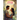 Embracing Love's Light: The Journey of Amihan and Lucio