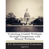 Evaluating Created Wetlands through Comparison with Natural Wetlands