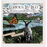 Curious Li'l Lilli: The Lamb with Amazing Grace