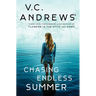 Chasing Endless Summer