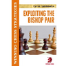 Exploiting the Bishop Pair: Winning Chess Strategies