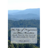 The Edge of Forgiveness on Blue Mountain: Book Two in the Lost in the Adirondacks Series