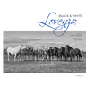 Heini Heitz: Lorenzo Black & White