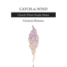 Catch the Wind