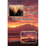 Snapshots and Visions: A View from the Now