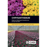 Chrysanthemum