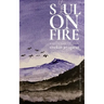 Soul on Fire